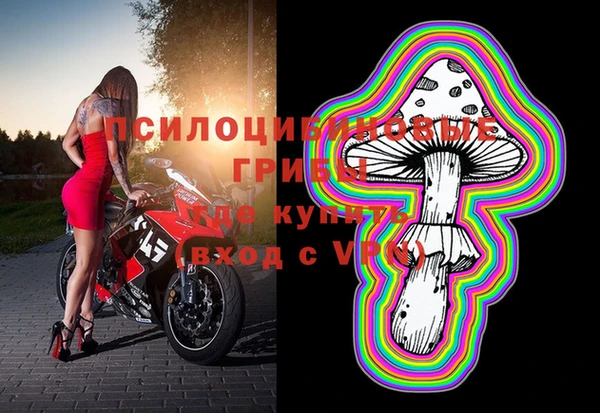 ПСИЛОЦИБИНОВЫЕ ГРИБЫ Козловка