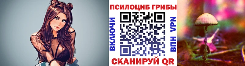 Галлюциногенные грибы Psilocybe  MEGA как зайти  Красноармейск  магазин продажи  